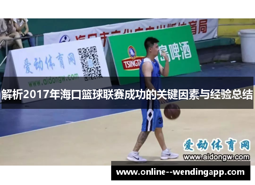 解析2017年海口篮球联赛成功的关键因素与经验总结 解析2017年海口篮球联赛成功的关键因素与经验总结