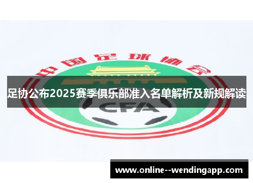 足协公布2025赛季俱乐部准入名单解析及新规解读