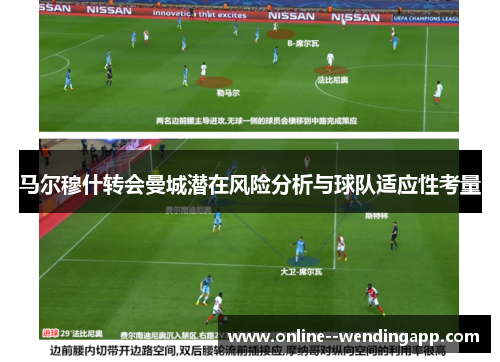 马尔穆什转会曼城潜在风险分析与球队适应性考量