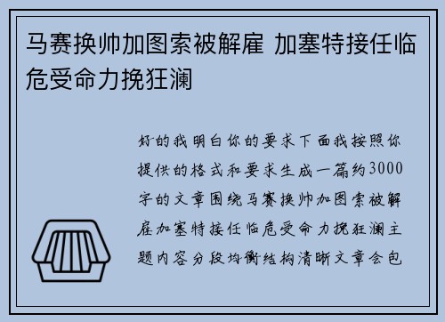 马赛换帅加图索被解雇 加塞特接任临危受命力挽狂澜