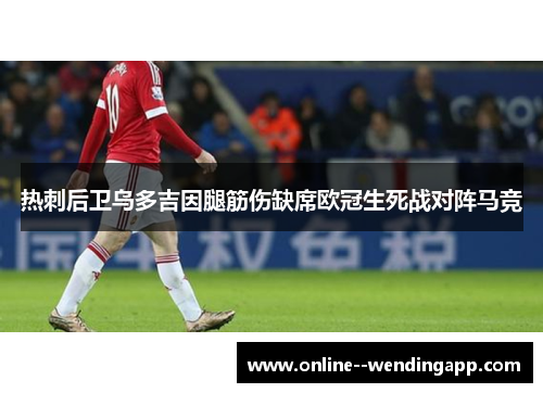 热刺后卫乌多吉因腿筋伤缺席欧冠生死战对阵马竞